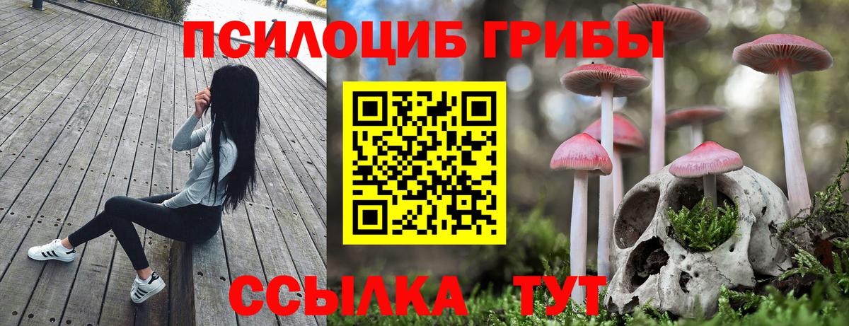 Галлюциногенные грибы мухоморы  Вход с VPN  Ступино 