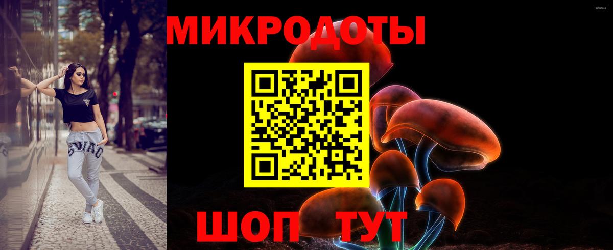 Галлюциногенные грибы Psilocybe Ступино